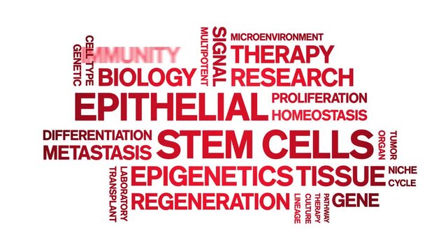 Epithelial Stem Cells animated word cloud-gross domestic product animation tag kinetic typography seamless loop.