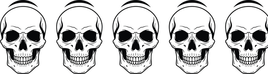 Collection of human skull illustrations in vintage engraving style, detailed anatomical skull set isolated on light background