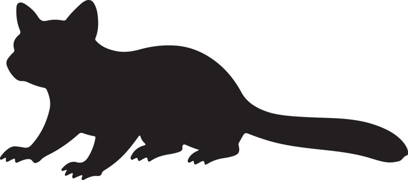 Sugar glider Vector Graphic by Creative Designer
