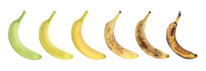 Ripening stages of banana fruits on white background, set © New Africa