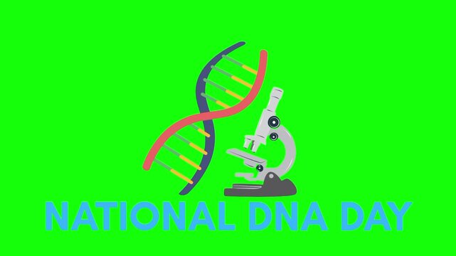 National DNA Day text animation concept with structure and microscope vector icon symbol popup. Animated word design, editable lettering motion graphic video template with green screen background