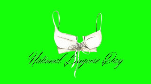 National Lingerie Day text animation concept with bra bikini vector icon symbol popup. Animated word design, editable lettering motion graphic video template with green screen background