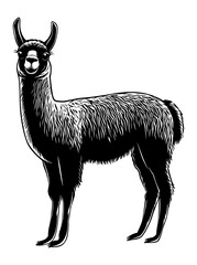 Fototapeta premium PNG Simple alpaca linear illustration animal llama.