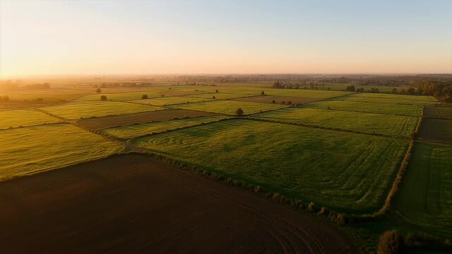 Aerial view of agricultural land at sunrise featuring patchwork fields and trees