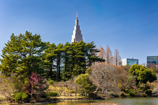 Vibrant spring trees and calm water contrasting with the modern Tokyo skyline background