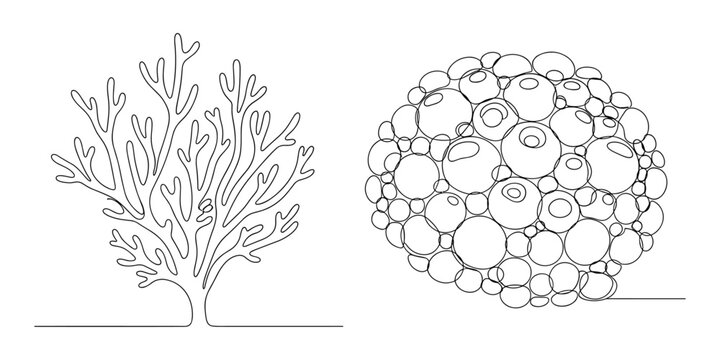 Coral and sea sponge line art vector illustrations on transparent grid pattern