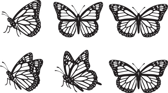 Butterfly silhouettes vector illustration with six black and white wing patterns showing species diversity and decorative design