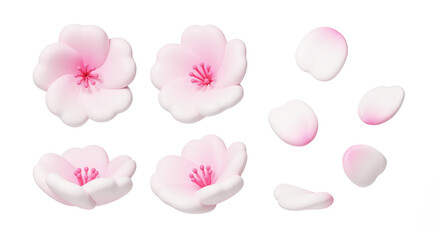 3D Sakura Cherry Blossom Flower Icon Set with Petals Isolated on Transparent Background, Pink Spring Floral Elements © susu
