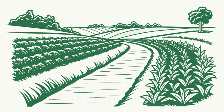 a green illustration of a field with rows of crops Vector