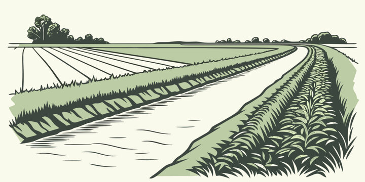 a green field with a ditch and a road Vector