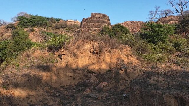 The abandoned and neglected ruins of the 15th-century Indore Fort located on a rocky ridge in the Mewat region of Haryana, India