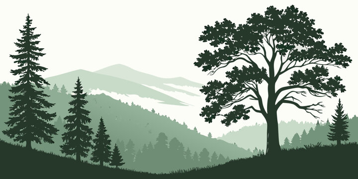 a serene landscape with trees and rolling hills Vector