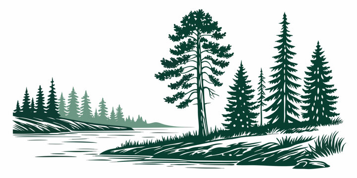 a group of pine trees on a snowy hill by a lake Vector