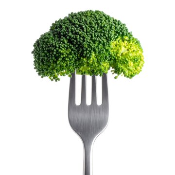 Close-up of fresh, vibrant green broccoli floret impaled on a shiny silver fork, isolated on a clean white background