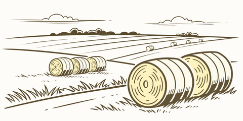 a sketch of hay bales in a field with a cloudy sky Vector © RABBY