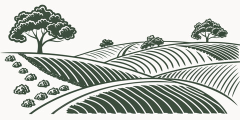 Fototapeta premium a green illustration of a vineyard with rolling hills and trees Vector