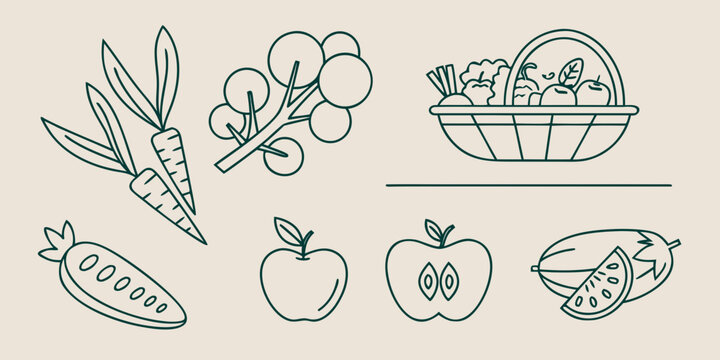 a collection of fresh fruits and vegetables Vector