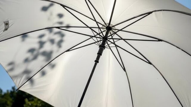 A broken white umbrella with black spots on a sunny day in a park