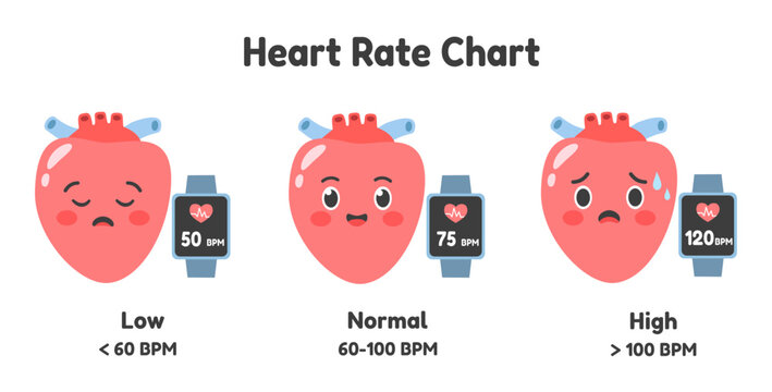 Heart rate levels chart with cute heart characters and smartwatch showing low, normal and high pulse rate. Healthcare monitoring, cardiology awareness infographic. Flat vector illustration
