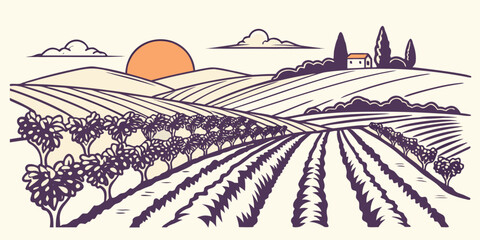 Fototapeta premium vineyard landscape at sunset with rows of grapevines Vector