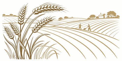 a field of wheat with a farm in the background Vector © BOY