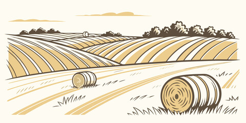 a field with hay bales in a rural landscape Vector © BOY