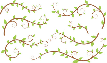 Cartoon decorative vines with green leaves and elegant spirals for nature and design elements © Creative Stoker
