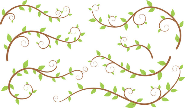 Cartoon decorative vines with green leaves and elegant spirals for nature and design elements