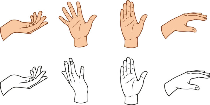 Cartoon hands in colored and line art styles showing open palms and gestures symbolizing anatomy and design reference