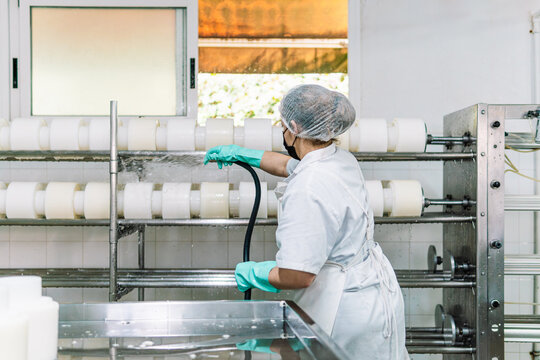 Woman cleaning cheese molds in dairy factory