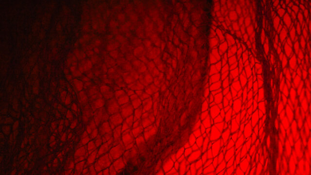 high-contrast photograph featuring a delicate, dark mesh or net-like fabric draped against a deep, vibrant red background.