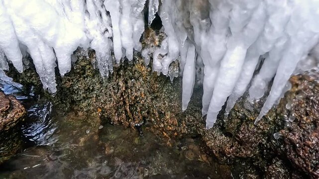 Sea ice frozen onto natural coquina limestone rocks composed of marine shells, forming icicles and ice accretions during winter in the Black Sea (Mare Ponticum), Ukraine.