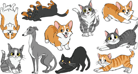 Fototapeta premium Cute Cats and Dogs Illustration Set with Playful Poses and Colorful Characters for Pet Lovers and Animal Lovers