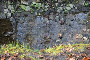 Region Teutoburger Wald