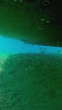 Vertical footage, Camera moves forward under a fishing boat moored above a sandy seabed, a school of fish hiding in its shadow on a bright sunny day, Slow motion