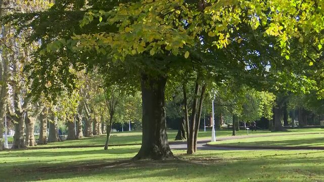 Urban park in Bilbao with gardens, fountains, trees, pergolas, and monuments. Green public space offering a peaceful environment where nature and city design meet.