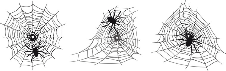 Fototapeta premium Hand drawn spider web collection with spiders, spooky cobweb sketches set for Halloween party decor, gothic nature elements isolated on white background.