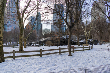 a snowy winter landscape at Central Park in Manhattan New York City New York USA