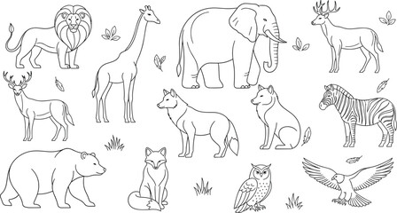 Fototapeta premium Wild Animals Outline Vector Illustration Set Featuring Lion, Giraffe, Elephant, Deer, Wolf, Fox, Zebra, Bear, Owl, and Eagle for Coloring Pages.