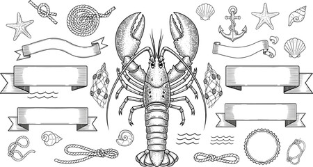 Vintage lobster seafood engraving with nautical elements ribbons shells anchor and rope flat vector illustration set © EdGe Creative