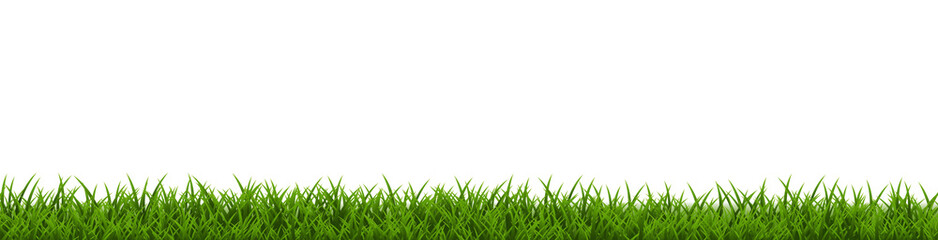 Fototapeta premium Spring Poster Border With Spring Grass