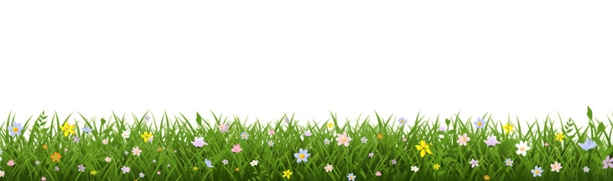 Spring Poster With Spring Flowers And Grass