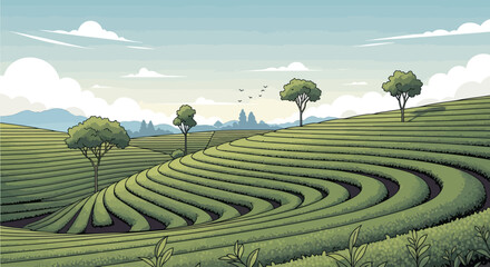 Vast green tea terraces cascade across rolling hills under a cloudy sky © Akil