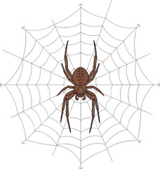 Obraz premium Brown Spider on Web Illustration with Detailed Cobweb Structure and Realistic Arachnid for Halloween Design, Biology Education and Nature Graphic