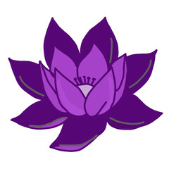 Fototapeta premium Purple Lotus Flower Illustration in Flat Design Style, Blooming Water Lily Vector for Floral Decoration and Aesthetic Graphic Element.