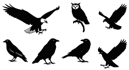Fototapeta premium Black White Silhouette Vector Icons of Birds: Eagle, Owl, Crows