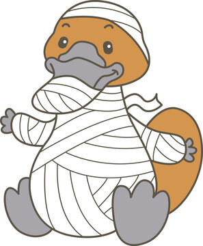 Cute set of platypus sticker with activity. Platypus 