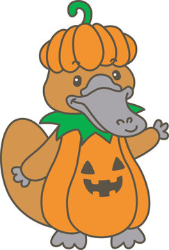 Cute set of platypus sticker with activity. Platypus 