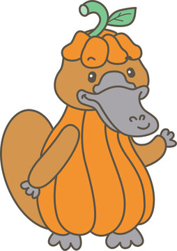Cute set of platypus sticker with activity. Platypus 