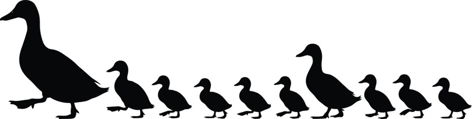 A mother goose leads her brood © Kaniz